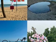 -日照海滨国家森林公园
