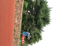 -云岗森林公园
