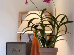 -本無咖啡·BeanWood Coffee