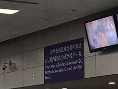 -上海浦东国际机场-T2航站楼
