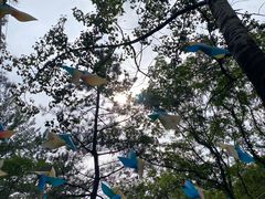 -崂山九水游览区