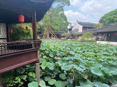-上海醉白池公园