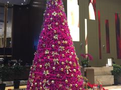 -筠咖啡西餐厅(上海国展宝龙丽筠酒店)