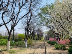 -永定河休闲森林公园