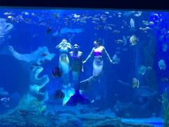 -多彩贵州城极地海洋世界