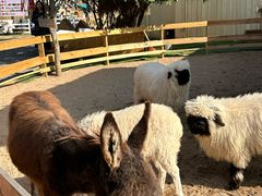 -HERRE·FARM 赫尔露营农场·团建聚会包场