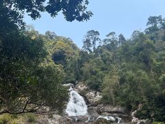 -海南热带雨林国家公园吊罗山景区