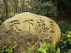 -峨眉山报国寺