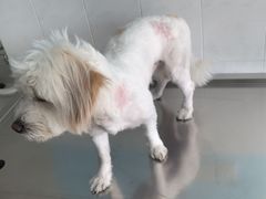 -畜牧兽医站(共江路店)