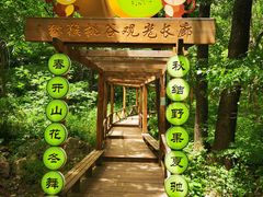-大岭沟猕猴桃谷风景区