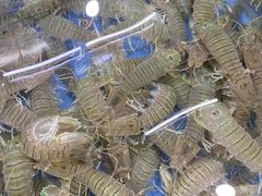 -明记海鲜大排档(巽寮湾店)