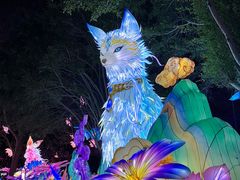 -厦门园林博览苑