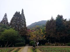 -八卦田遗址公园
