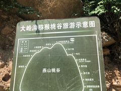 -大岭沟猕猴桃谷风景区