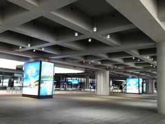 桥下-港珠澳大桥码头