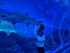 -成都浩海立方海洋公园