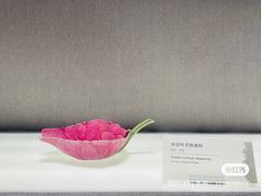 -景德镇中国陶瓷博物馆