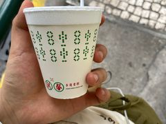 -洪馨椰子