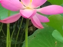 -太阳宫公园