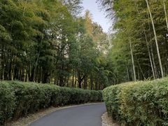 -天目湖涵田度假村