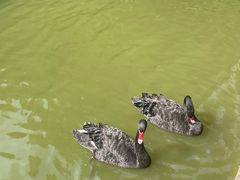 -珠海圆明新园