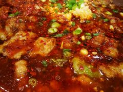 -紫光园·烤鸭·北京菜(劲松店)