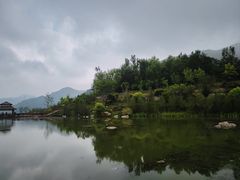 -王莽岭风景区