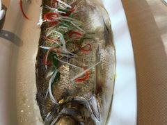 太湖大白鱼-江南原著(中联广场店)