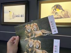 -罗红摄影艺术馆