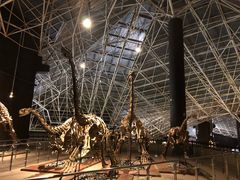 -世界恐龙谷景区