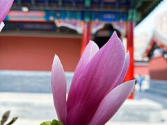 -天津大悲禅院