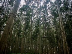 -仁和公园(顺义区)