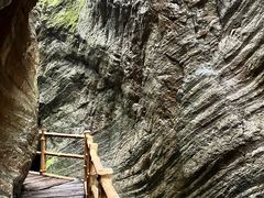 -牛背梁国家森林公园