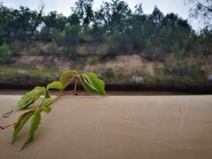 -延安杨家岭革命旧址