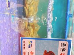 -南海渔家•海鲜•正宗海南菜(海棠湾店)