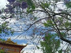 -龙潭水乡