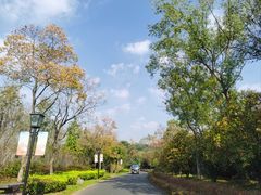 -茅山东方盐湖城景区