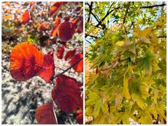 -北京西山国家森林公园