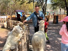 -水上乐园·欢乐世界