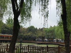 -巴山一绝烤全羊(三圣乡刘家花园店)