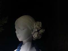 -雪灵魔法世界SHELLY’S TAROT(大良桂畔里店)