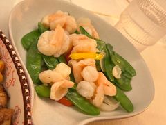 -龟兹KUCINA·新疆菜(前滩L+PLAZA店)
