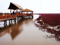 -红海滩国家风景廊道