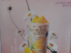 -书亦烧仙草(思进大厦店)