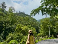 -千年银杏谷文化旅游区