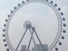 -海合安武汉极地海洋公园