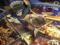 -白乐天毛肚火锅馆(解放碑店)