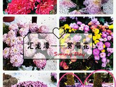 -汇龙潭