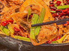 -老板恋上鱼(印象城店)