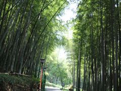 -穹窿山景区